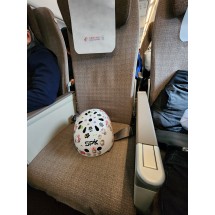 고향에 있는 가족(노인,환자,아이등) 및 집 방문 대행