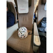 고향에 있는 가족(노인,환자,아이등) 및 집 방문 대행
